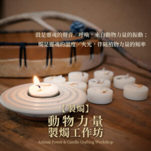 製燭｜四方親族。動物力量製燭工作坊